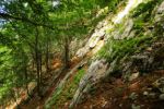 2014-07-05_Laengental-N-Hochweg (465). JPG